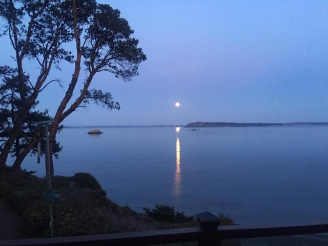 Puget Sound Chic Romantic Cottage With Private Beach Access & Gated Entry Port Ludlow Exterior foto